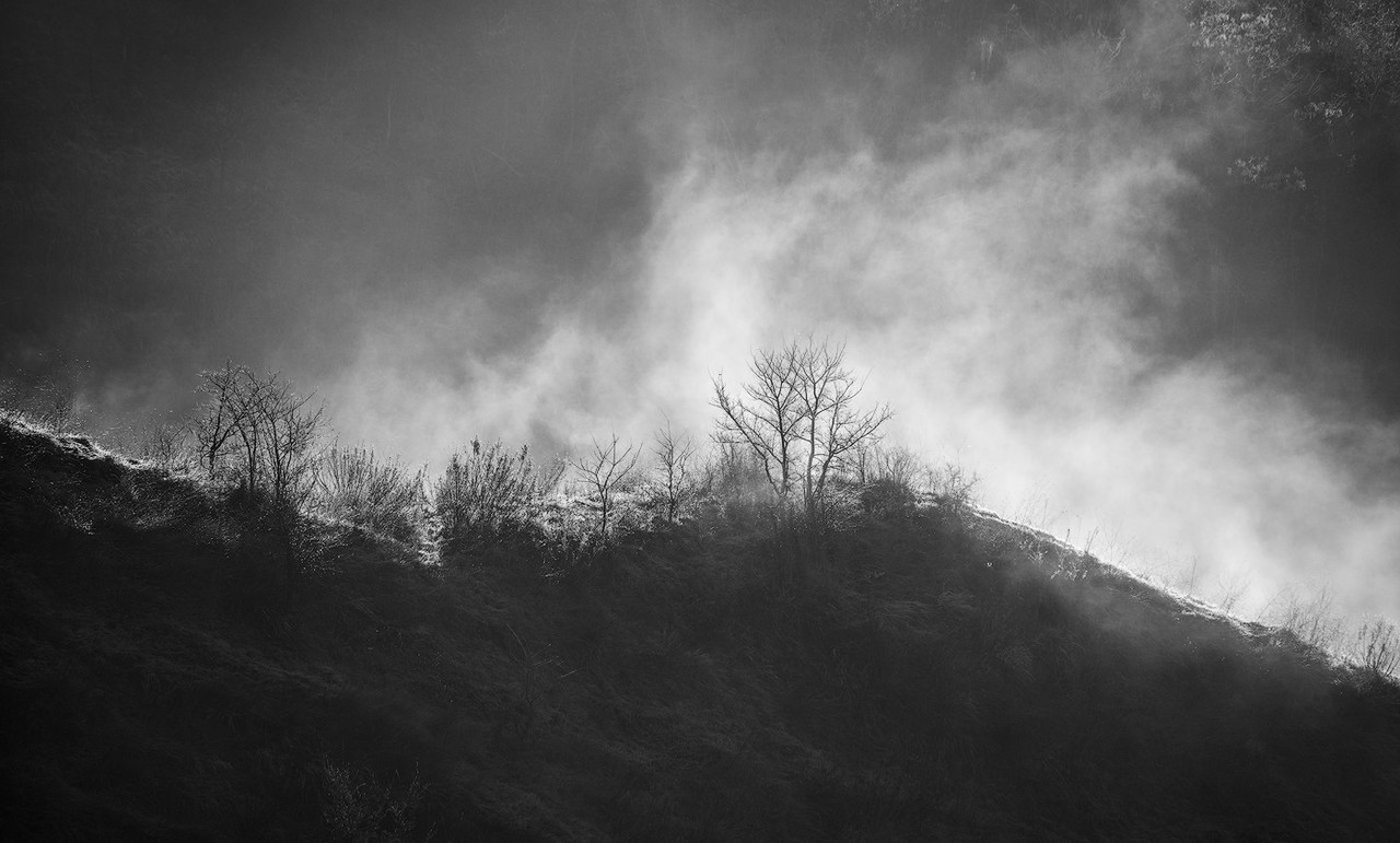 Bare trees and wooded hills fade into layers of fog in a monochrome landscape.