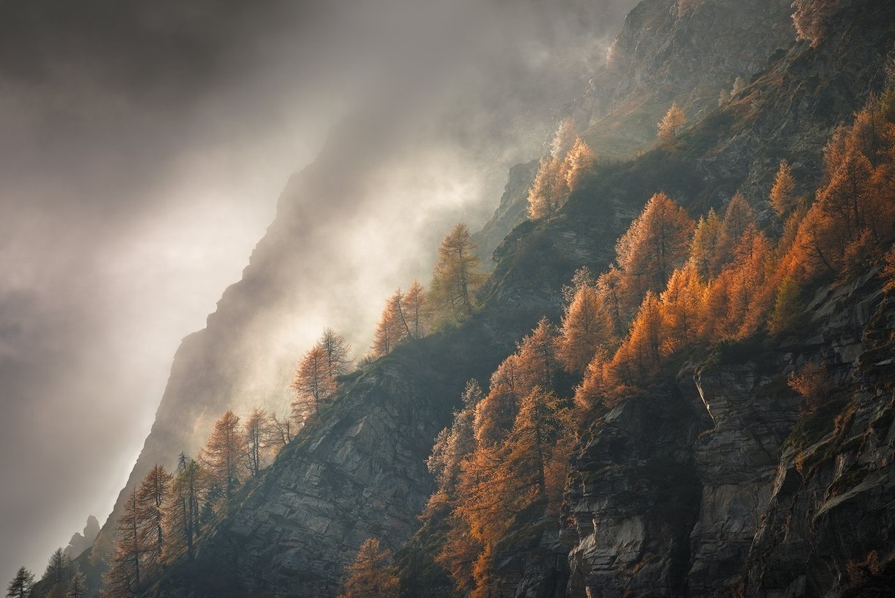 Autumn trees cover a steep mountain slope above a valley filled with cloud.