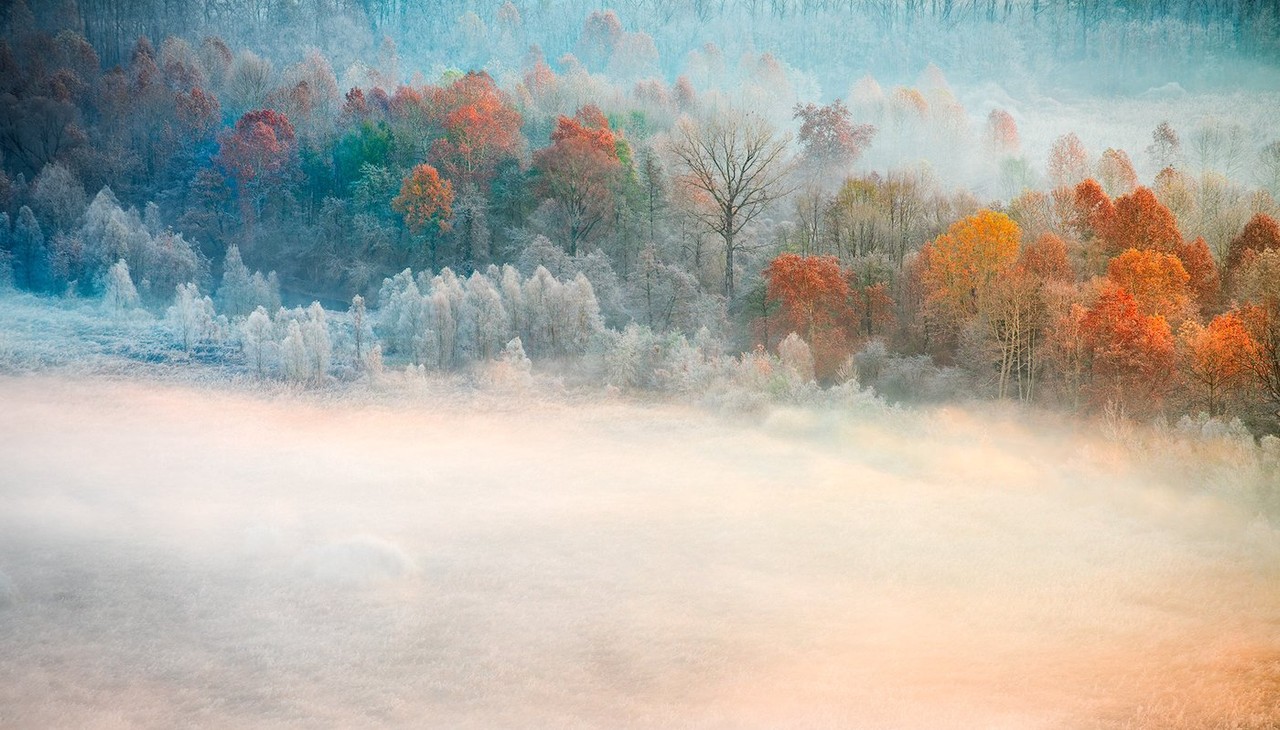 Autumn trees emerge from low mist, with warm light crossing the river landscape.